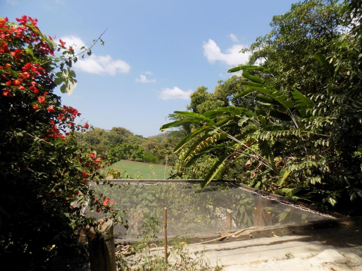 Colibri Hostal Minca Exterior photo